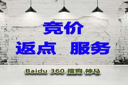 百度推广渠道拓展，成功案例分析